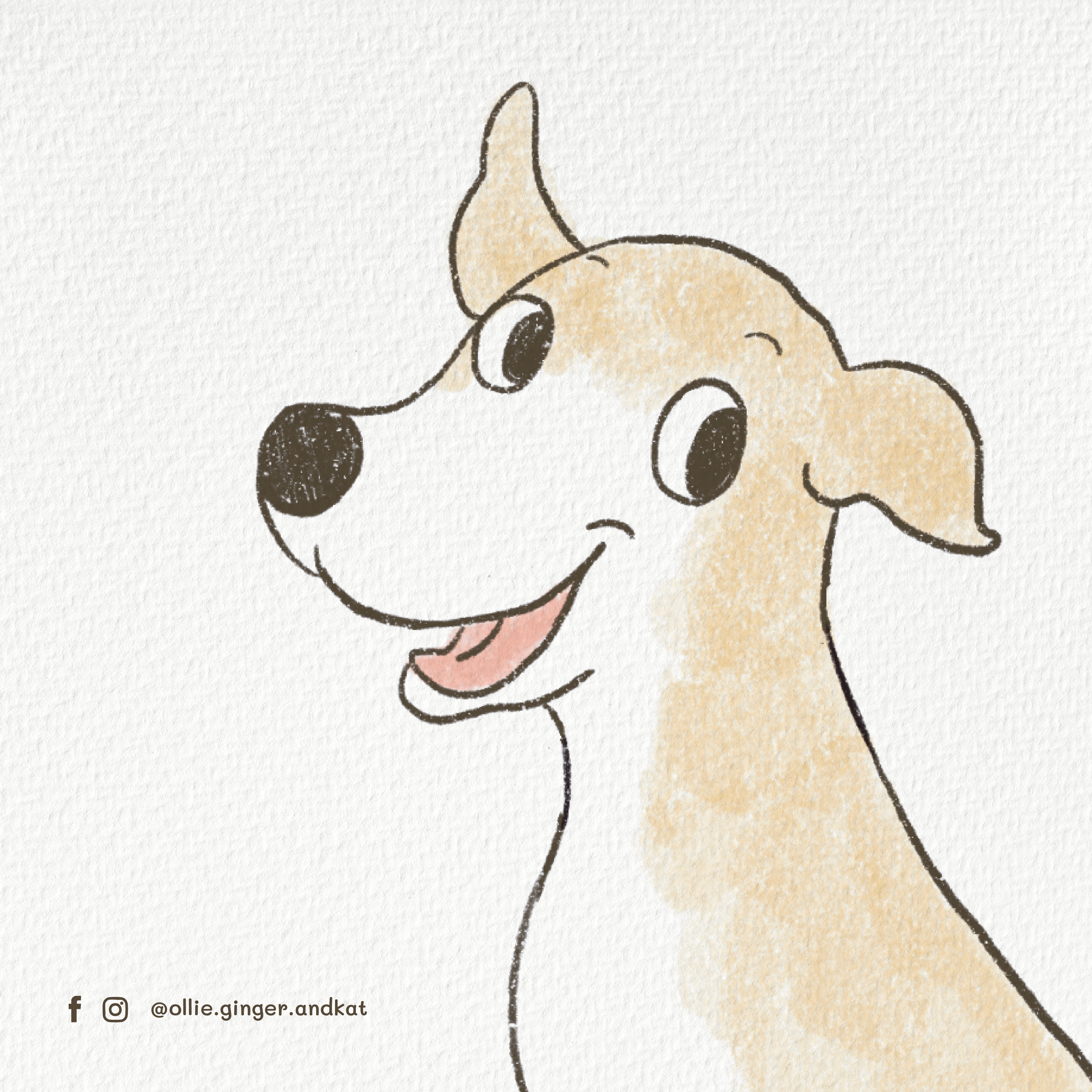 Ollie, Ginger, and Kat